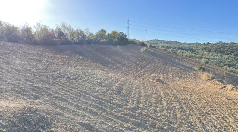 Malaga - Archidona - 17671m2