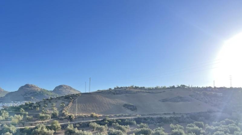 Malaga - Archidona - 17671m2