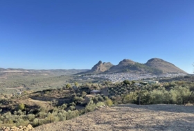 Archidona 17671&nbsp;m² 