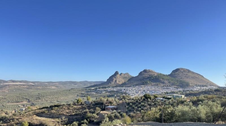 Malaga - Archidona - 17671m2