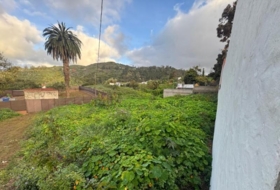 Arucas 553&nbsp;m² 