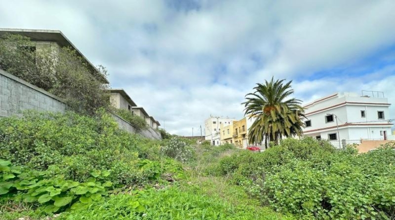 Las Palmas - Firgas - 1000m2