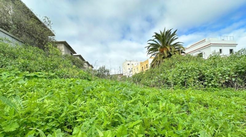 Las Palmas - Firgas - 1000m2