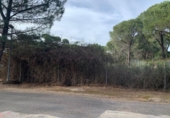 Parcela urbanizable en venta en la España, Córdoba, ref: TR383690 foto