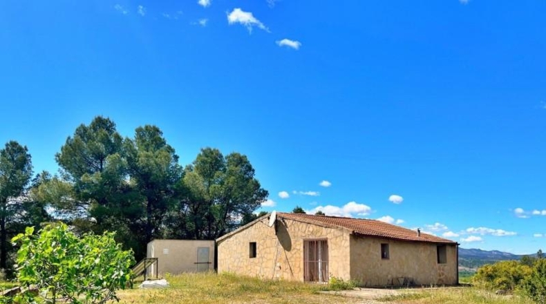 Tarragona - Vinebre - 7392m2