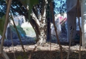 Sòl urbà en venda a la España, Chiclana de la Frontera, ref.: TR403855 foto