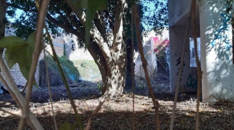 Cádiz - Chiclana de la Frontera - 150m2