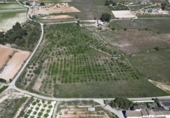 Non-developable land for sale on España, L'Olleria, ref: TR403862 photo