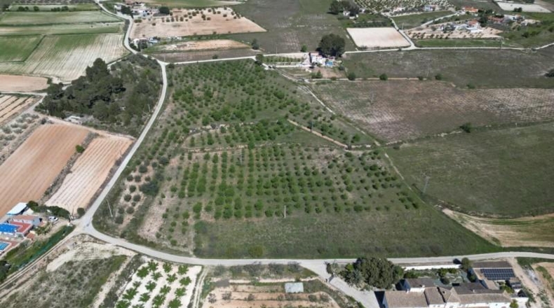 Valencia - L'Olleria - 53000m2