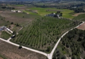 Non-developable land for sale on España, L'Olleria, ref: TR403862 photo