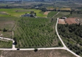 Non-developable land for sale on España, L'Olleria, ref: TR403862 photo