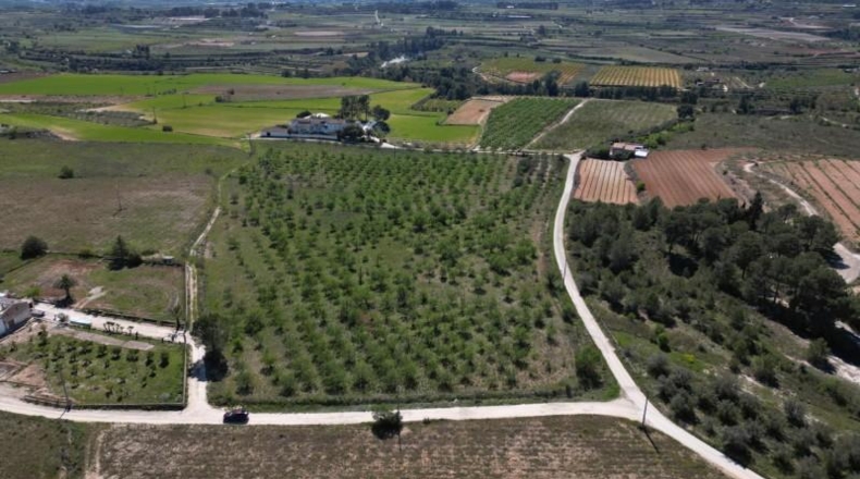 Valencia - L'Olleria - 53000m2