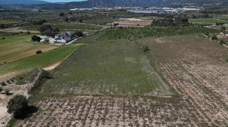 Valencia - L'Olleria - 53000m2
