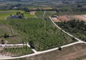 Non-developable land for sale on España, L'Olleria, ref: TR403862 photo