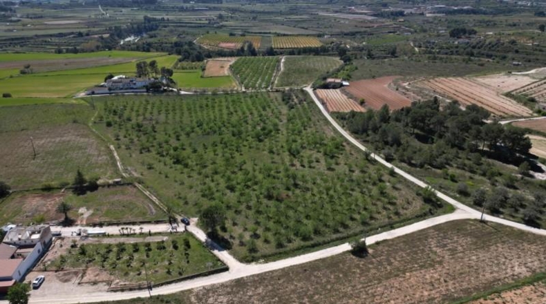 Valencia - L'Olleria - 53000m2