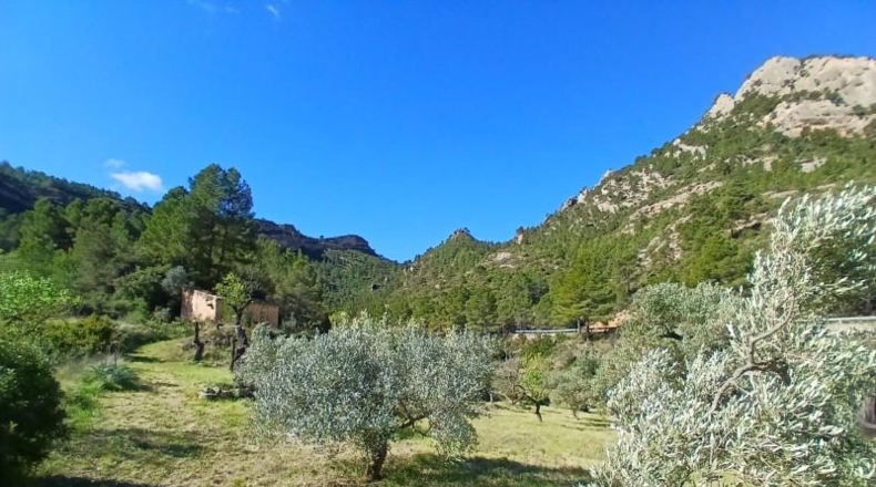 Tarragona - Prat de Comte - 74666m2