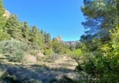 Xalet independent amb terreny en venda a la España, Prat de Comte, ref.: TR403863 foto