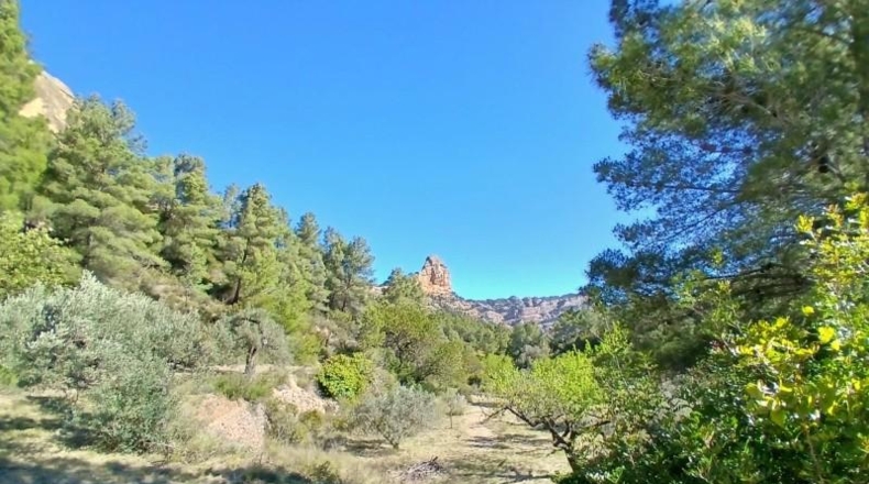 Tarragona - Prat de Comte - 74666m2