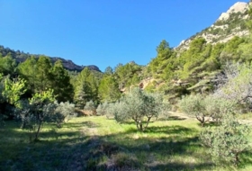 Prat de Comte 74666&nbsp;m² 