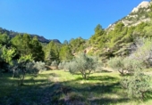 Xalet independent amb terreny en venda a la España, Prat de Comte, ref.: TR403863 foto
