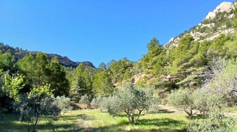 Tarragona - Prat de Comte - 74666m2