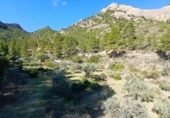 Xalet independent amb terreny en venda a la España, Prat de Comte, ref.: TR403863 foto