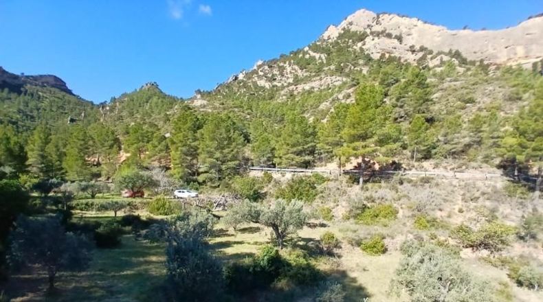 Tarragona - Prat de Comte - 74666m2