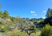 Xalet independent amb terreny en venda a la España, Prat de Comte, ref.: TR403863 foto