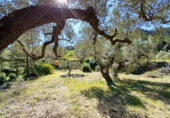 Xalet independent amb terreny en venda a la España, Prat de Comte, ref.: TR403863 foto