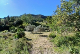 Prat de Comte 74666&nbsp;m² 