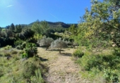 Xalet independent amb terreny en venda a la España, Prat de Comte, ref.: TR403863 foto