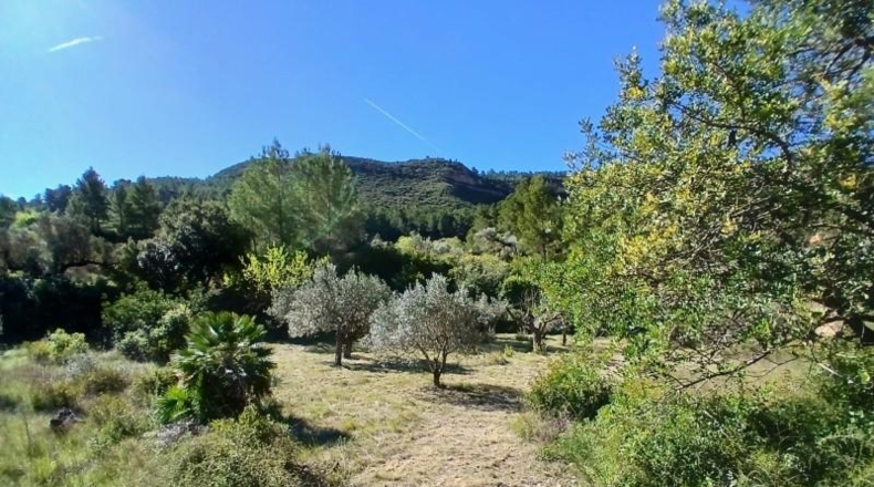 Tarragona - Prat de Comte - 74666m2