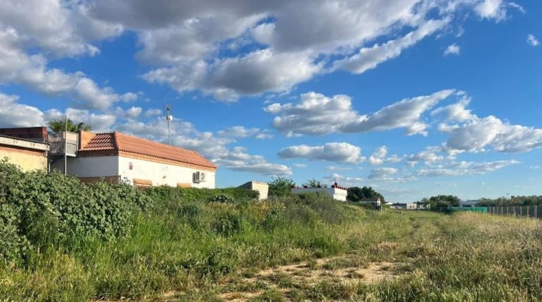 Sevilla - Los Palacios y Villafranca - 4700m2