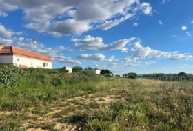 Los Palacios y Villafranca 4700&nbsp;m² 