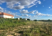 Non-developable land for sale on España, Los Palacios y Villafranca, ref: TR403872 photo