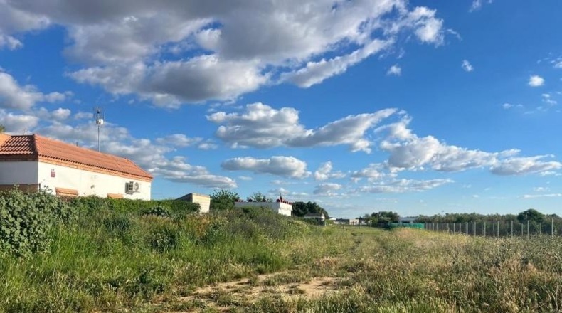 Sevilla - Los Palacios y Villafranca - 4700m2