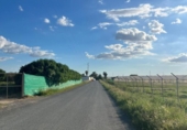 Non-developable land for sale on España, Los Palacios y Villafranca, ref: TR403872 photo