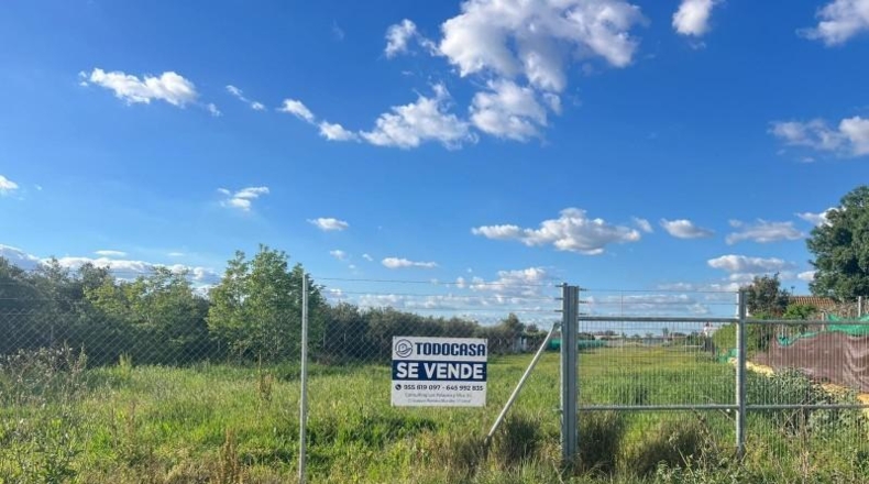Sevilla - Los Palacios y Villafranca - 4700m2