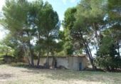 Casa de camp amb terreny en venda a la España, Albaida, ref.: TR318210 foto