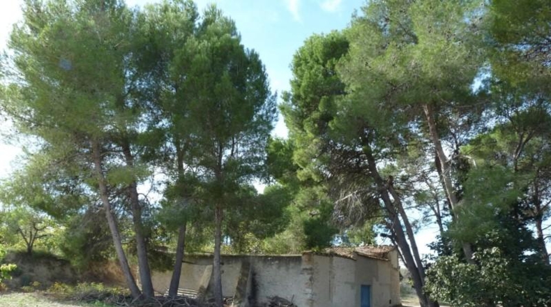 Валенсия - Albaida - 37440m2