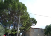 Casa de camp amb terreny en venda a la España, Albaida, ref.: TR318210 foto