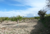 Casa de camp amb terreny en venda a la España, Albaida, ref.: TR318210 foto