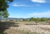 Casa de camp amb terreny en venda a la España, Albaida, ref.: TR318210 foto