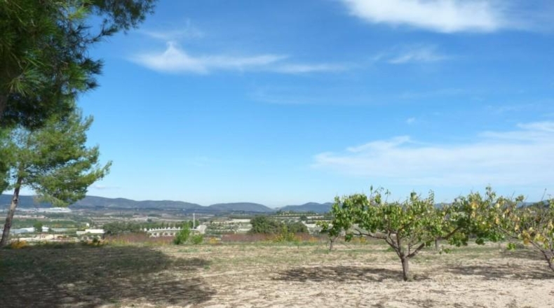 Валенсия - Albaida - 37440m2
