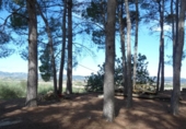 Casa de camp amb terreny en venda a la España, Albaida, ref.: TR318210 foto