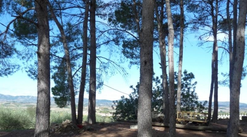 Валенсия - Albaida - 37440m2