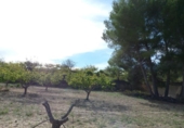 Casa de camp amb terreny en venda a la España, Albaida, ref.: TR318210 foto