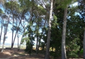 Casa de camp amb terreny en venda a la España, Albaida, ref.: TR318210 foto