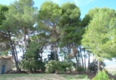 Casa de camp amb terreny en venda a la España, Albaida, ref.: TR318210 foto