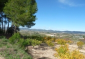 Casa de camp amb terreny en venda a la España, Albaida, ref.: TR318210 foto